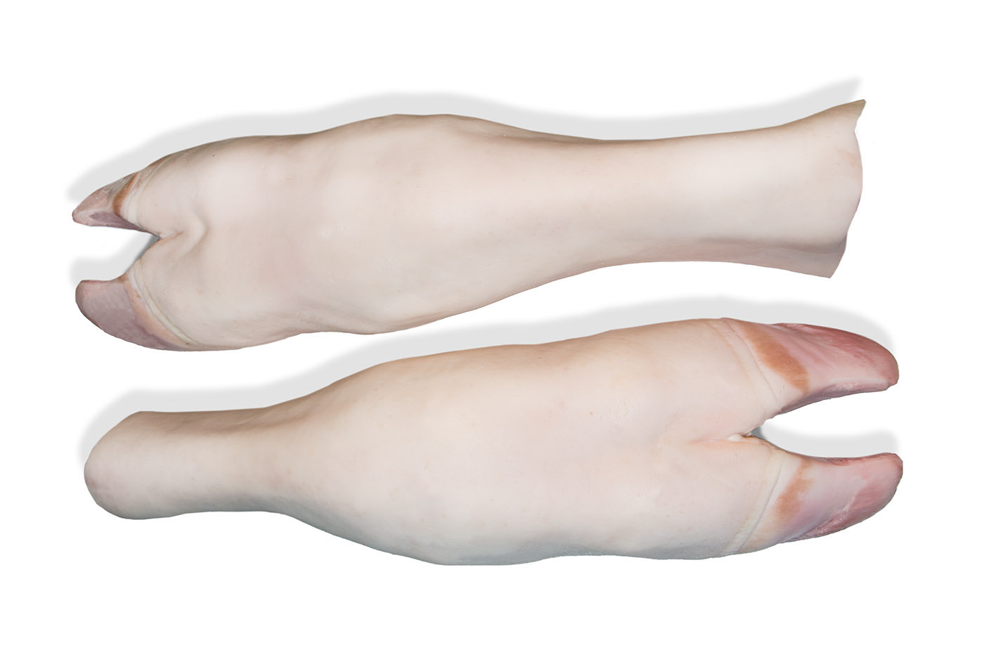 Pata de ternera UD, 1 Kg.