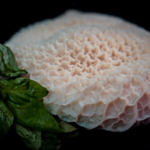 Callos de ternera 1/2 Kg.
