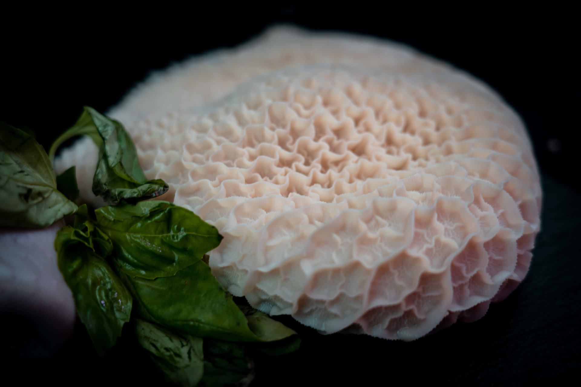 Callos de ternera 1/2 Kg.