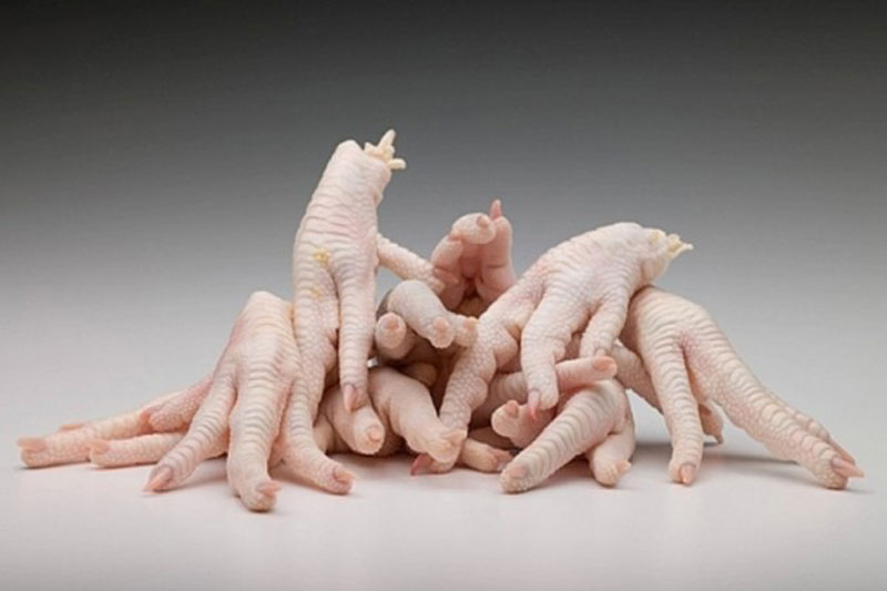 Patas de pollo limpias 1/2 Kg.